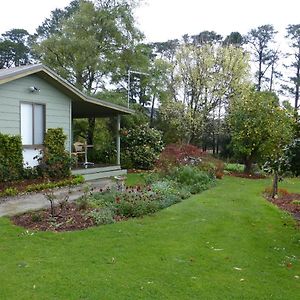 The Little House On The Hill Healesville Exterior photo