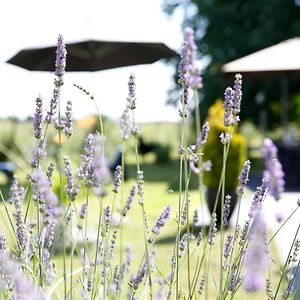 Nature & Chateaux Villandry Exterior photo