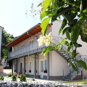 Pension Am Ziegelwall Bautzen Exterior photo