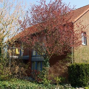 Gastehaus/Fewos/Boardinghaus Luneburg Sud Lüneburg Exterior photo