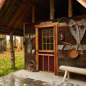 Trapper John'S Cabin & Cottages Talkeetna Exterior photo