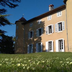 Château La Violette Les Marches Exterior photo