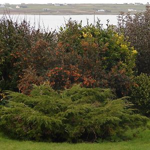 Drom Caoin Belmullet Exterior photo