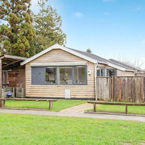 Tinyhouse Dirkshorn Noord-Holland Exterior photo