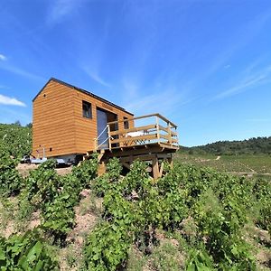 Tiny House Au Coeur Du Vignoble Beaujolais Fleurie Exterior photo