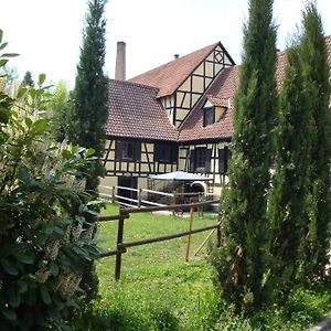 Maison De Vacances Alsace - Ferienhaus Elsass - Holiday House Alsace Bischwiller Exterior photo