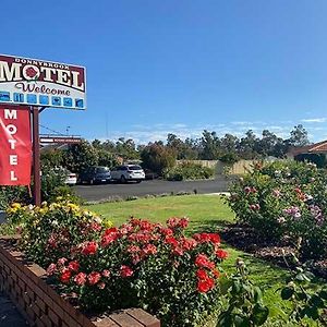 Donnybrook Motel Exterior photo