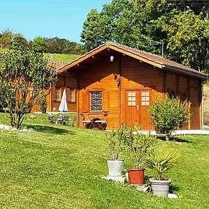 Chalet Charmant A Dausse Avec Piscine Et Jardin Exterior photo