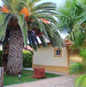3 Bedrooms House At Porto Santo 500 M Away From The Beach With Enclosed Garden And Wifi Exterior photo