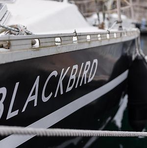 Guestready - Blackbird - Sailboat Experience Matosinhos (Porto) Exterior photo