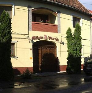 Mátyás Panzió Szeged Exterior photo