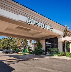 Best Western Plus Black Oak Paso Robles Exterior photo