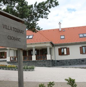 Villa Tolnay Vendégház Gyulakeszi Exterior photo