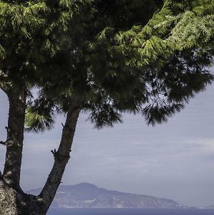 Il Giardino Dell'Arte Anacapri (Isola di Capri) Exterior photo