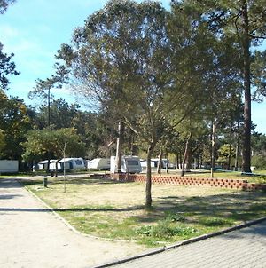 Orbitur Caminha Bungalows - Caravan Park Exterior photo