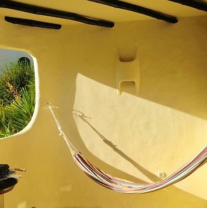 Peaceful & Spacious Apt With Parking & Queen Bed Carvoeiro (Lagoa) Exterior photo